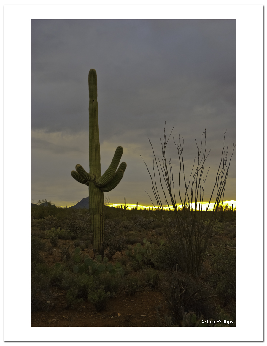 Desert Sunset After the Storm Desert Sunset After the Storm
